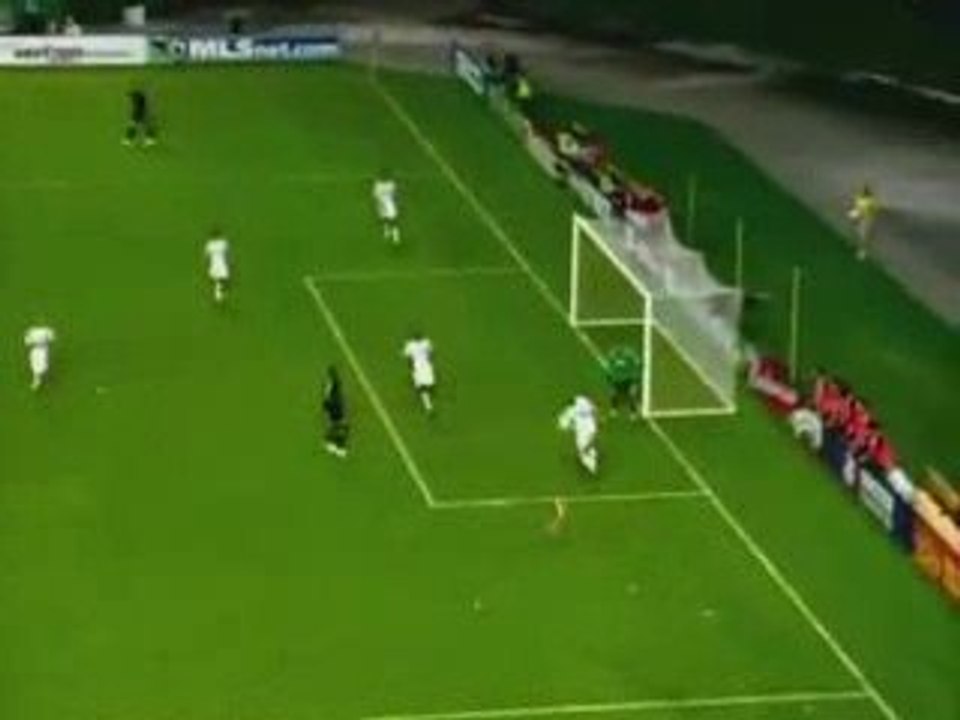 le chihuahua de beverly hills