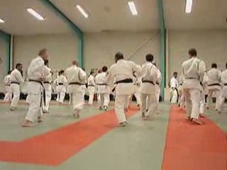 Sato sensei - shorinji ryu- Passai 1