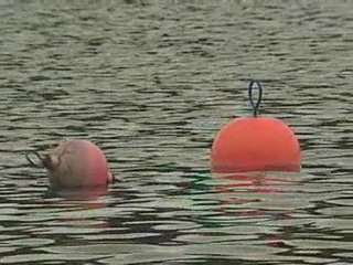 Two bodies found in a Scottish loch