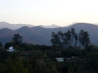 tout est paix seul Dieu Todo es Paz solo Dios Reinara