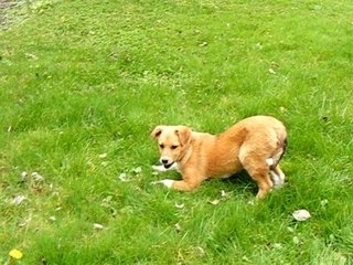 Daïka se defoule XD