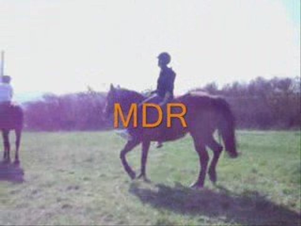 Galops dans les champs