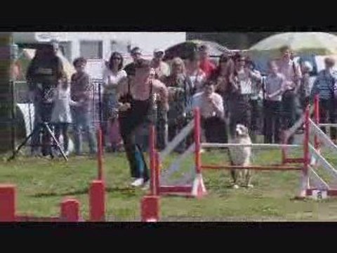 Béziers Baxter Jumping