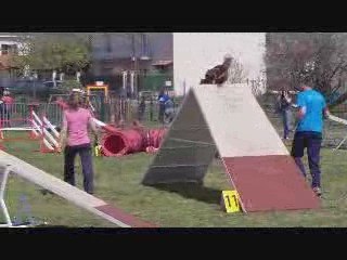 Béziers After 2ème degré