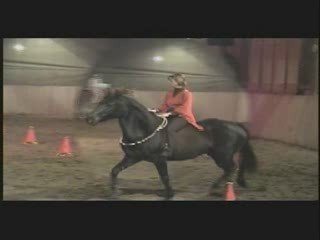 spectacle dompierre 08 photos au trot