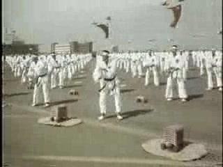 Taekwondo way