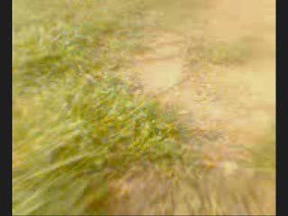 SansTitre_0004