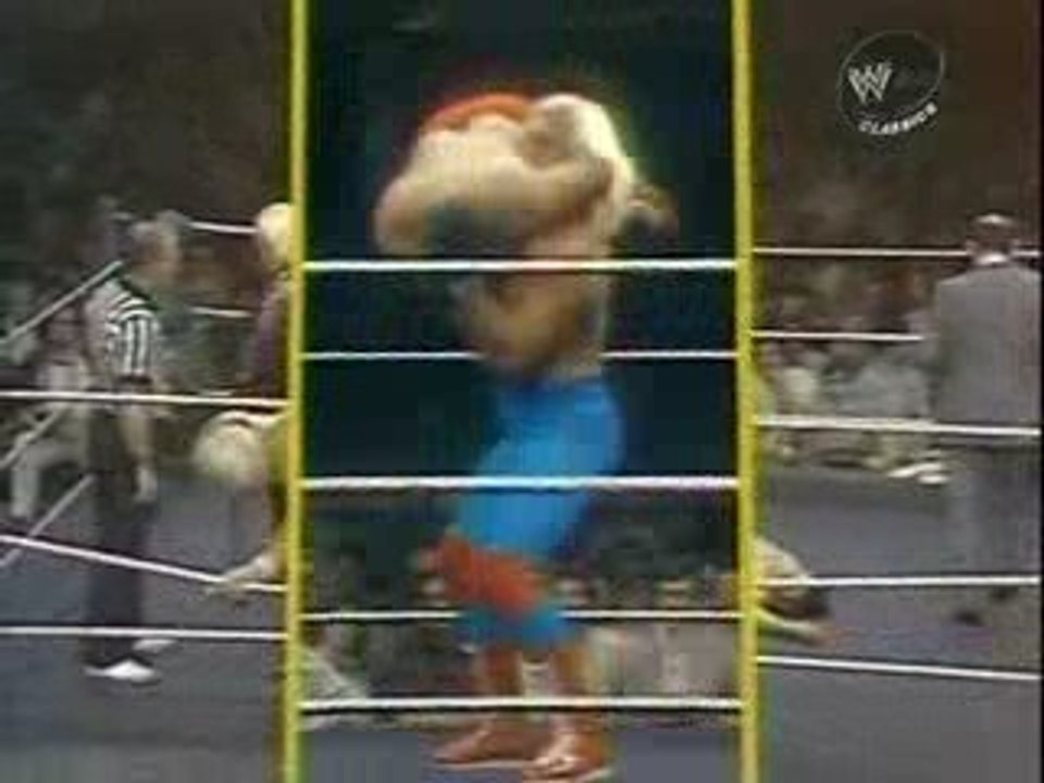 Hulk Hogan in action