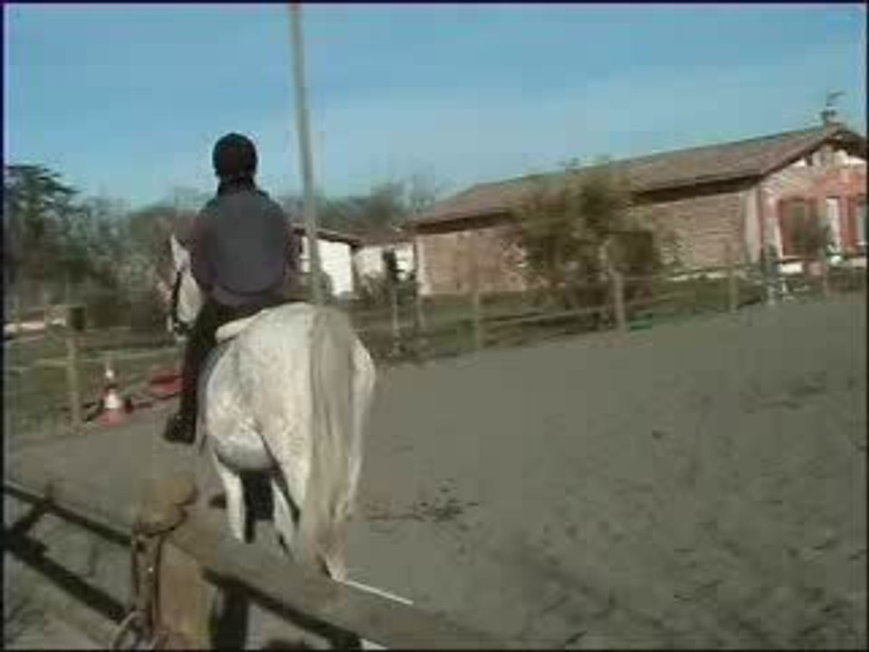 Seance du vendredi 13 mars trot 2