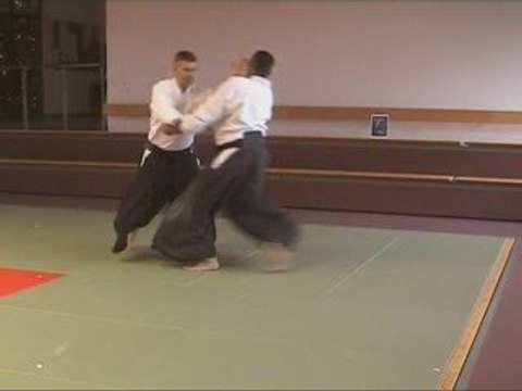 Paul Muller performing Chudan-Tsuki Shiho-Nage Omote