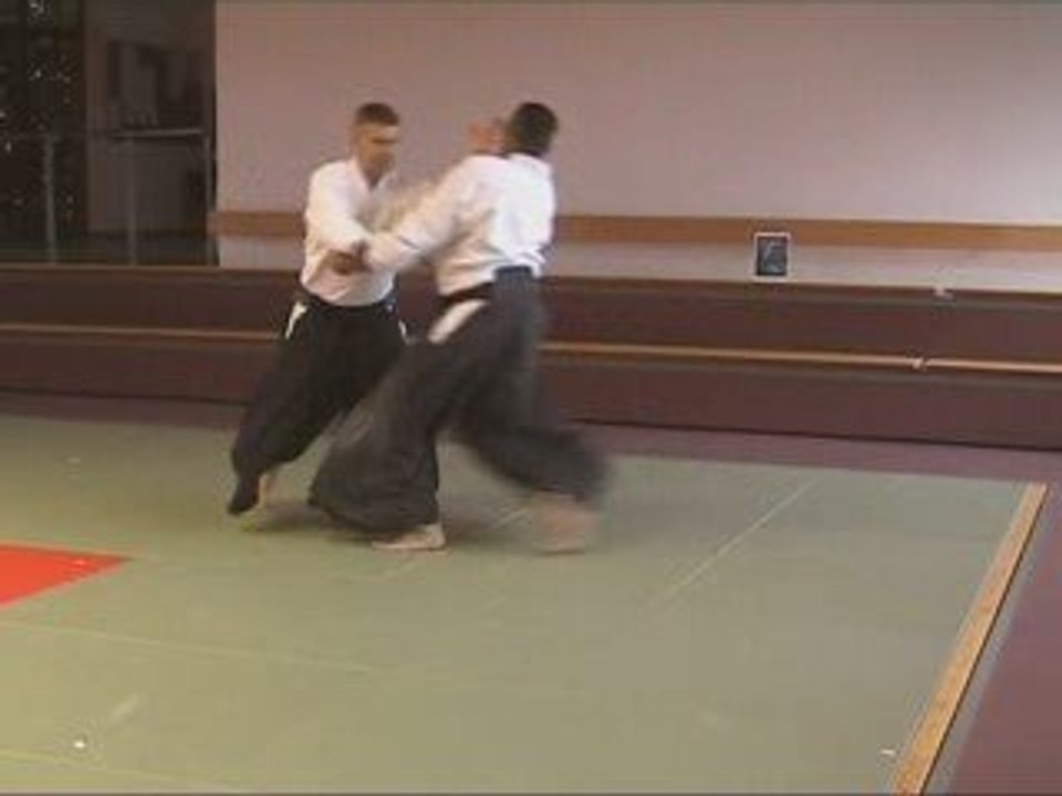 Paul Muller performing Chudan-Tsuki Shiho-Nage Omote