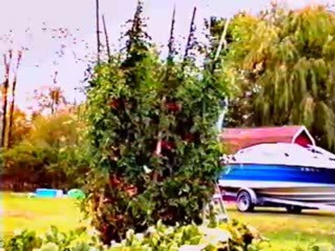 SK Foods educational video #3 about growing Tomatoes.