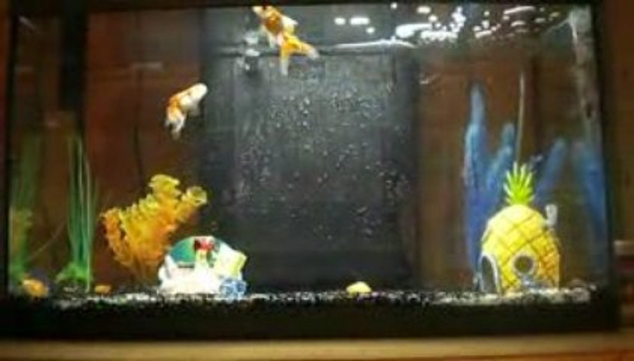 mes poissons