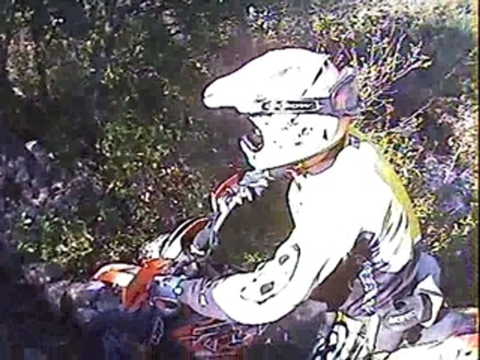 Alousde21.03.09 (21)pierrotmonteeduchat