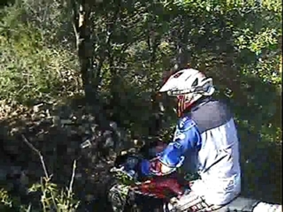 Alousde21.03.09 (16)dariomonteeduchat