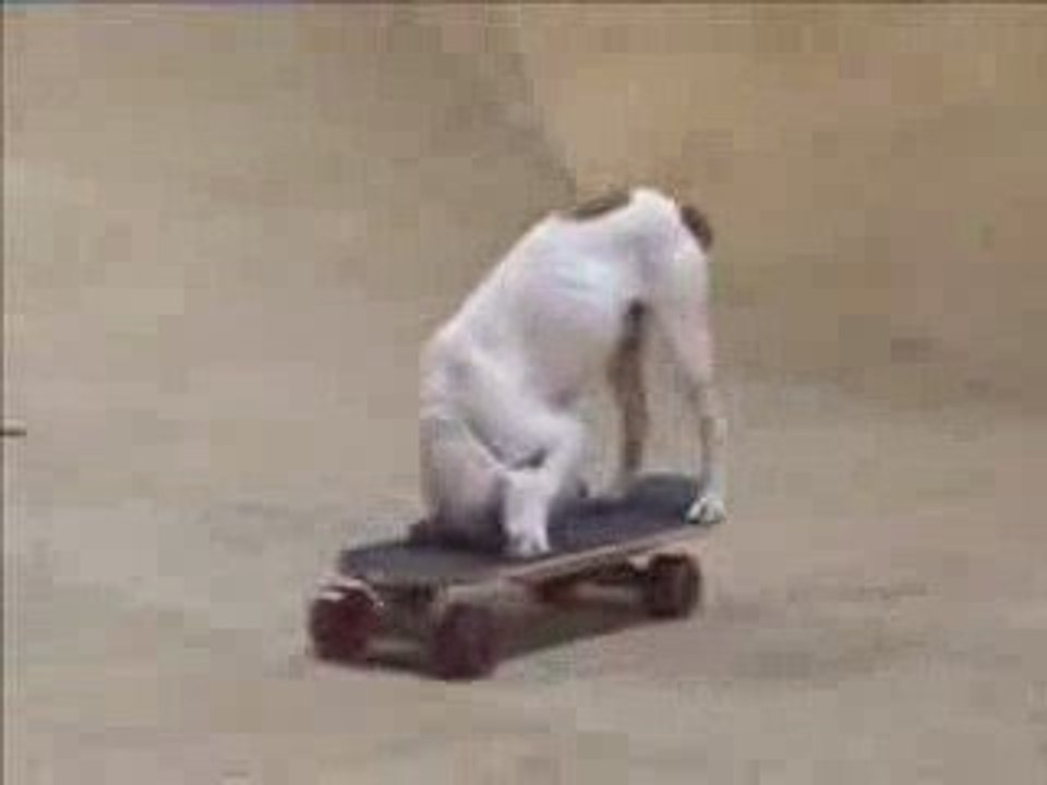 Pete Skateboarding Dog
