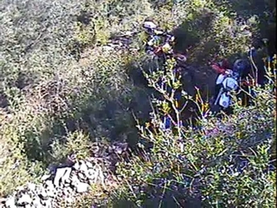 Alousde21.03.09 (19)stephmonteeduchat