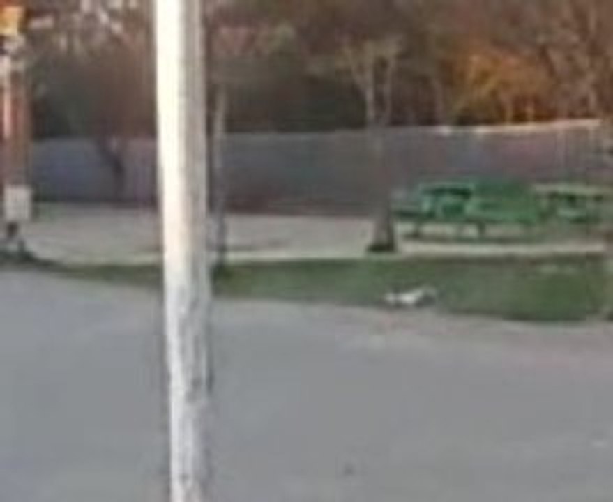 Premier essai de la voiture elec du PAJ