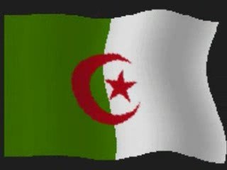 CHEB NANI LIVE 2008