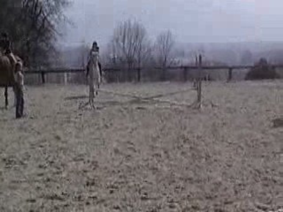 Vidéo Saphir 7 *