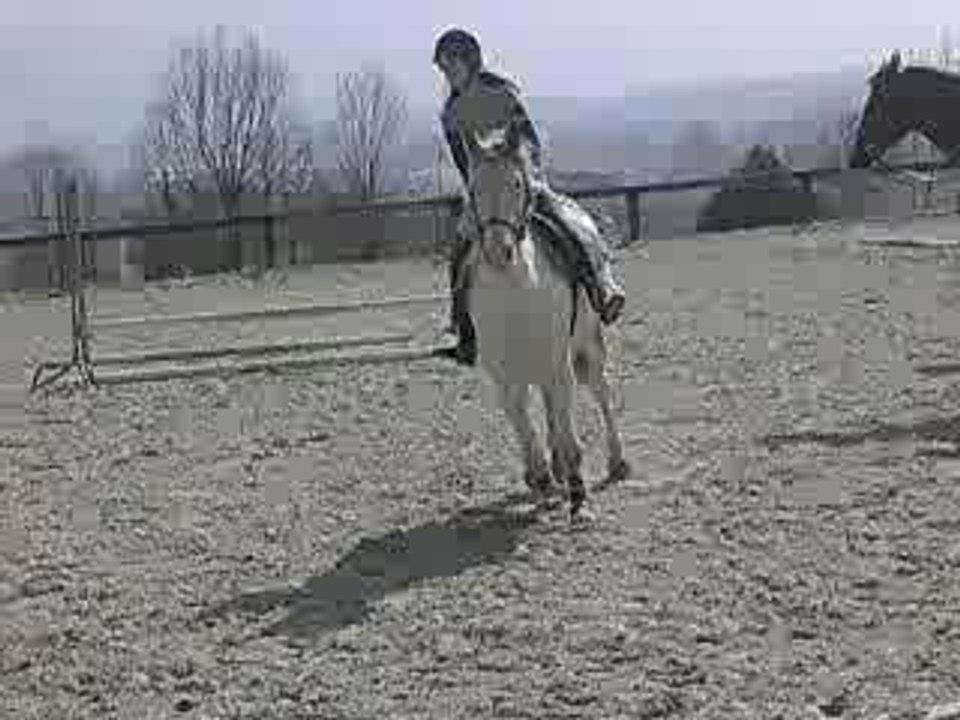 Vidéo Saphir 8 *