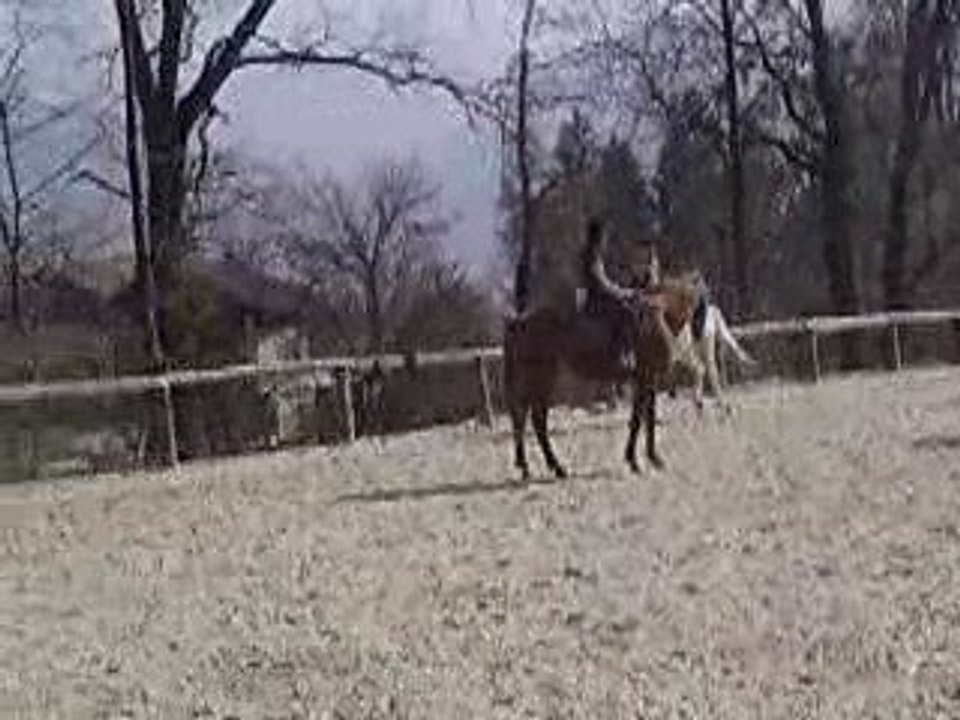 Vidéo Saphir 9 *