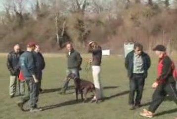 TC D'enfer of Devil inside