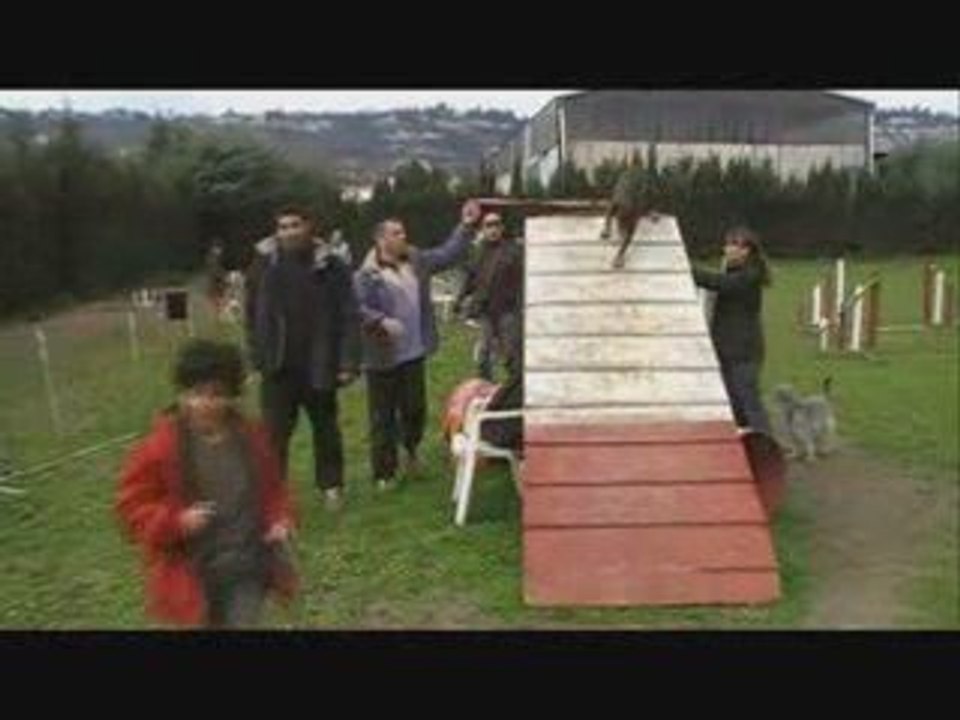 Les débutants et les zones