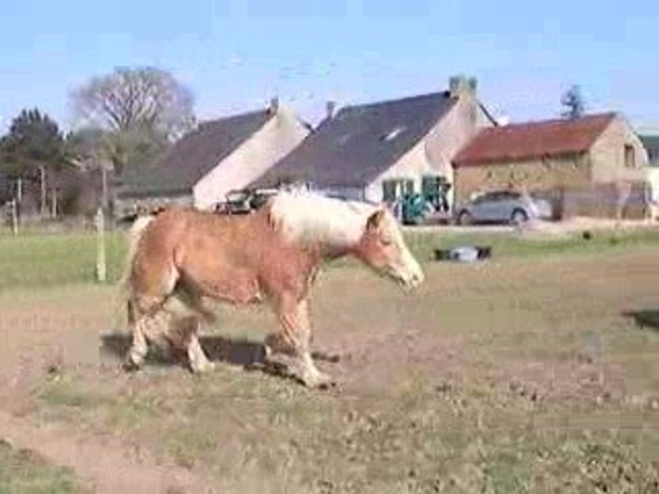 ballade foret le 22 mars