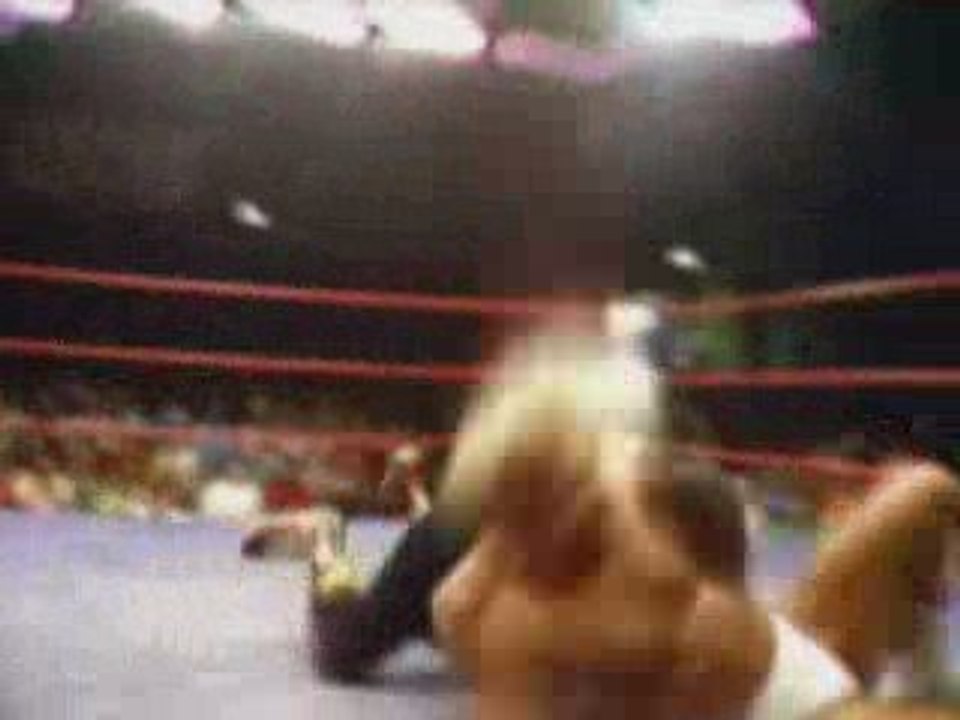 Michael Hayes Titantron