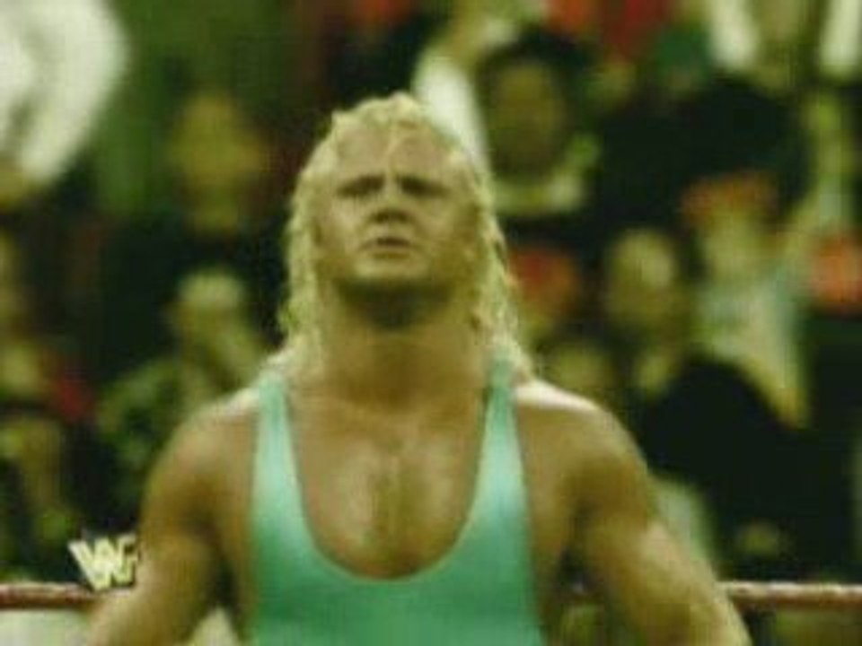 Mr. Perfect Titantron