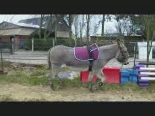 14/03/09 martin liberté