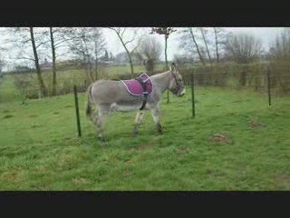 14/03/09 martin liberté 3