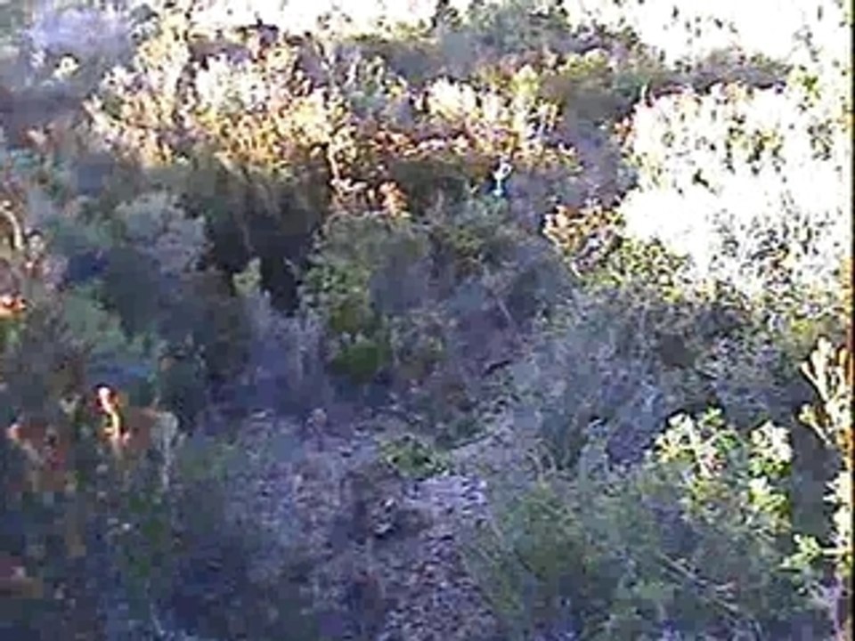 Alousde21.03.09 (24)