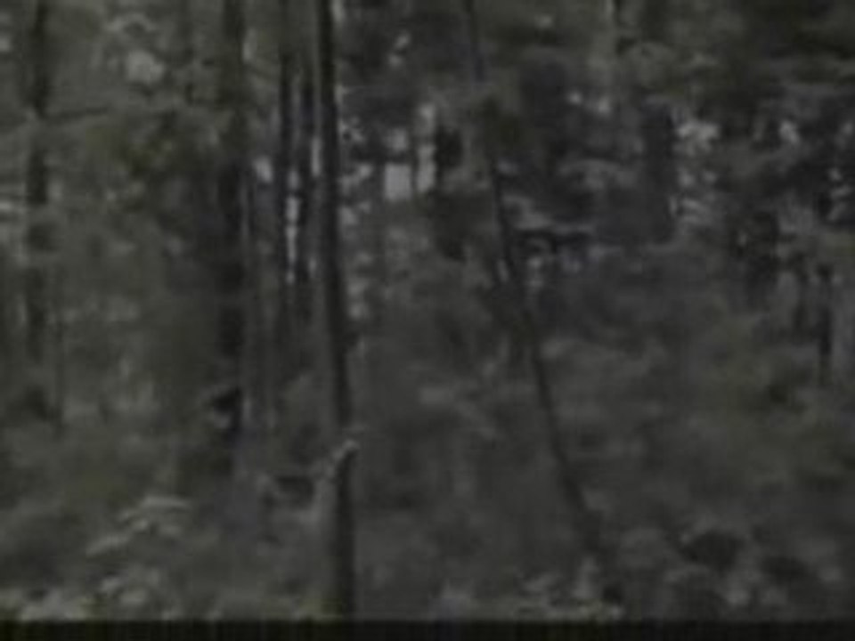 Alien ou fantom ( vrais ou faux ?)