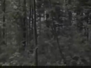 Alien ou fantom ( vrais ou faux ?)