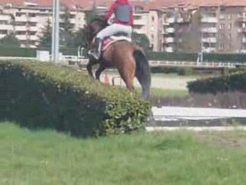 La cépière - Juju saut de haie + Quaprice