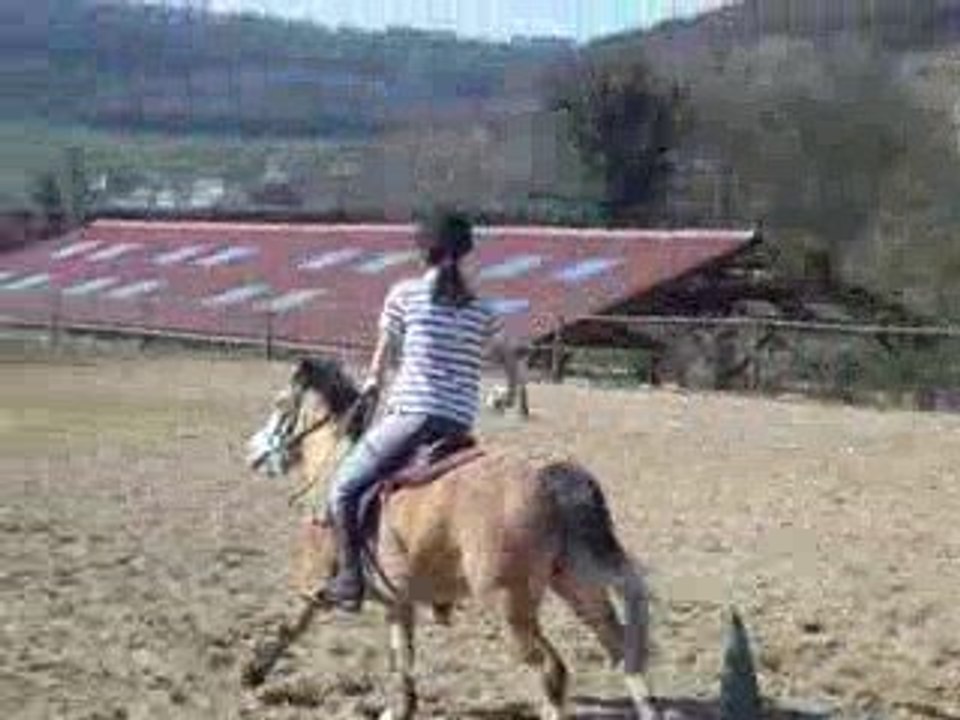 pony games jeu des tasses !!!!