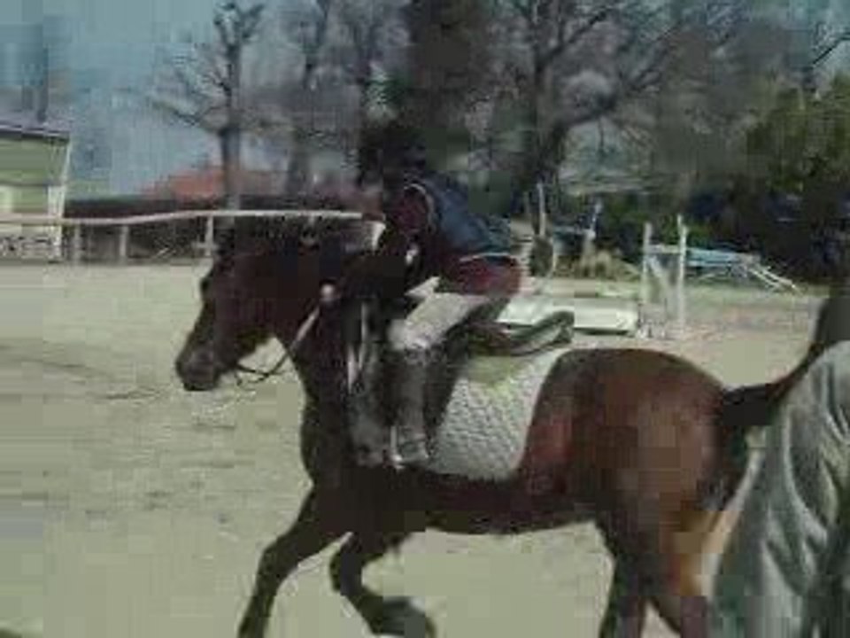Cheval2