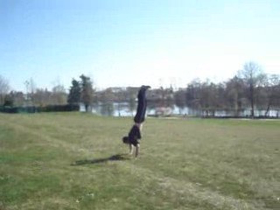 maxcgb40 4 flip + salto arriere désequilibre lol