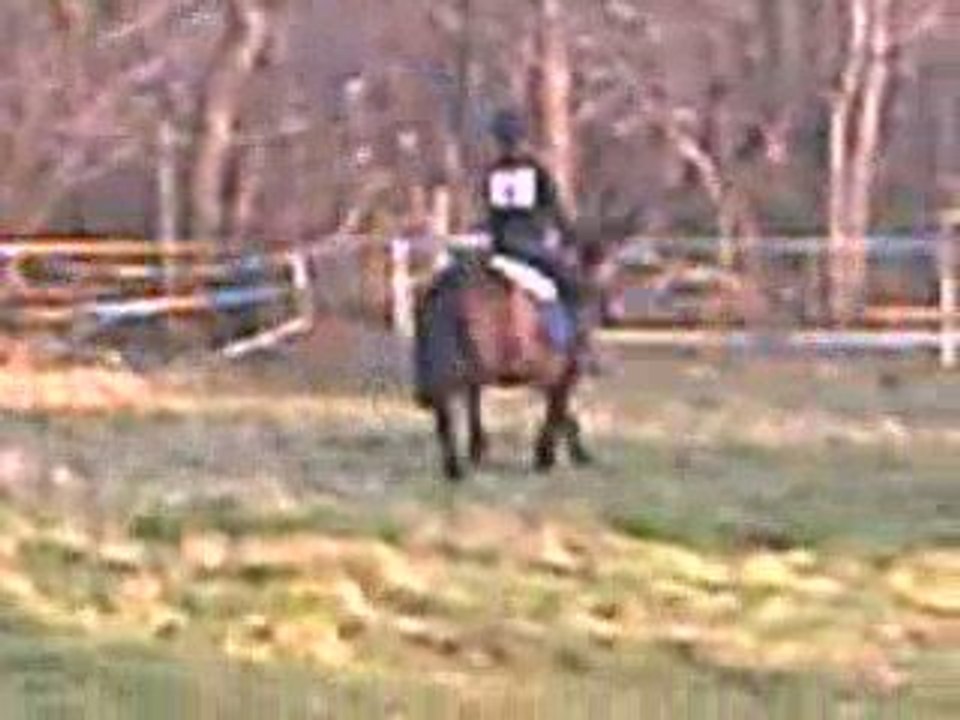 Prune parcour de saut