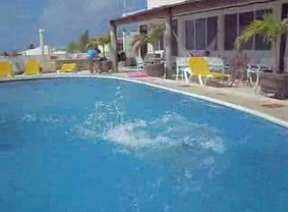 Plongeon dans la piscine