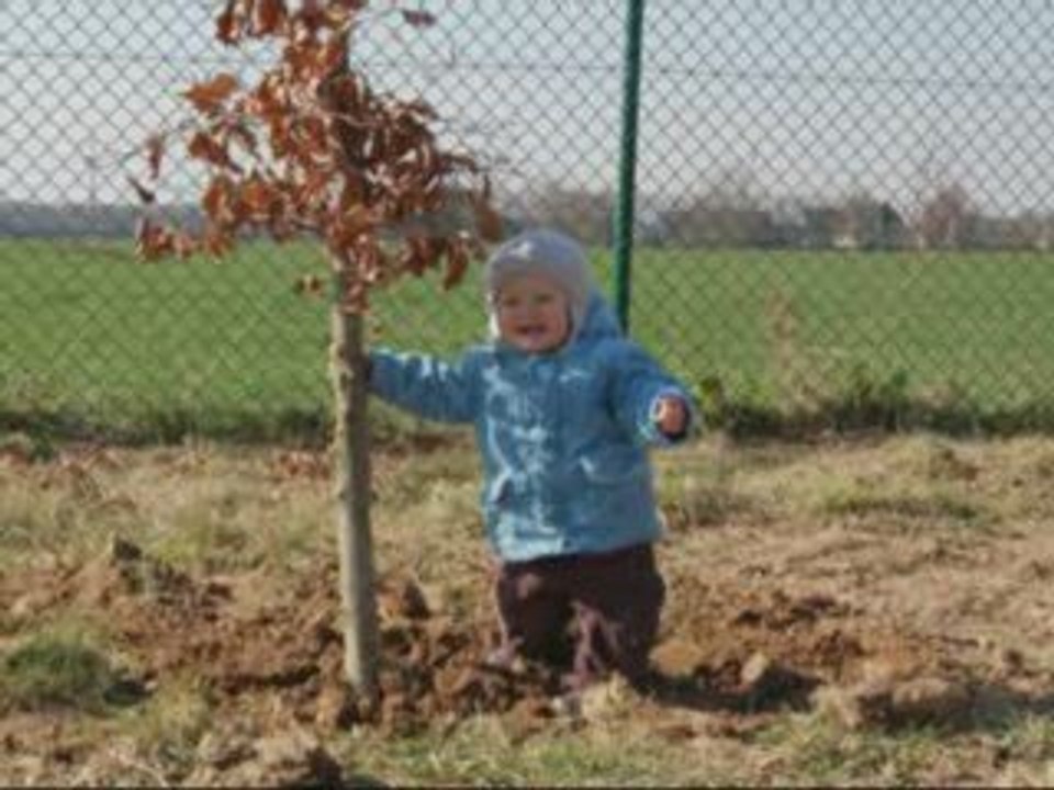 Un arbre, un enfant, millésime 2009