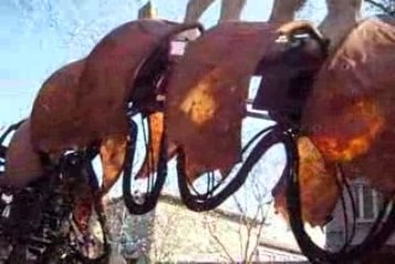 Carnaval Arles 2009 objectif rue