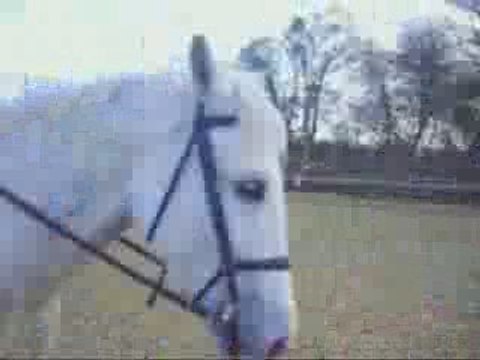 Reprise de saut avec roméo