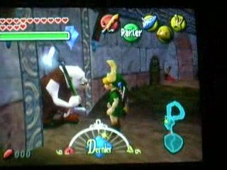 bug zelda majora mask ( Bug visuel igor )