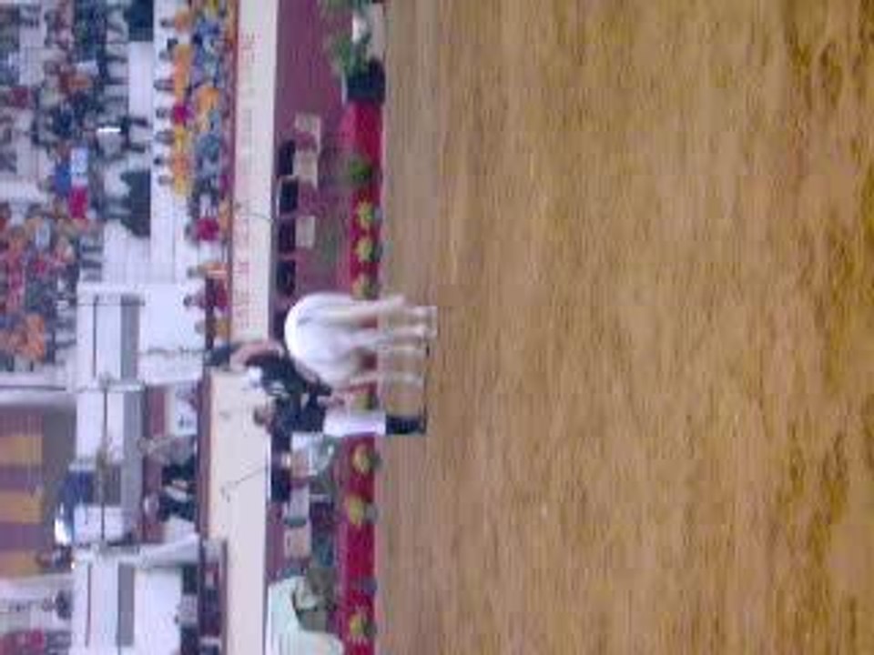 Pestacle des chevaux 3