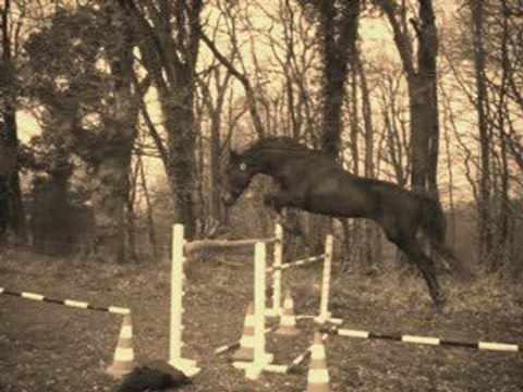 Saut en liberté 1M10 ! =P