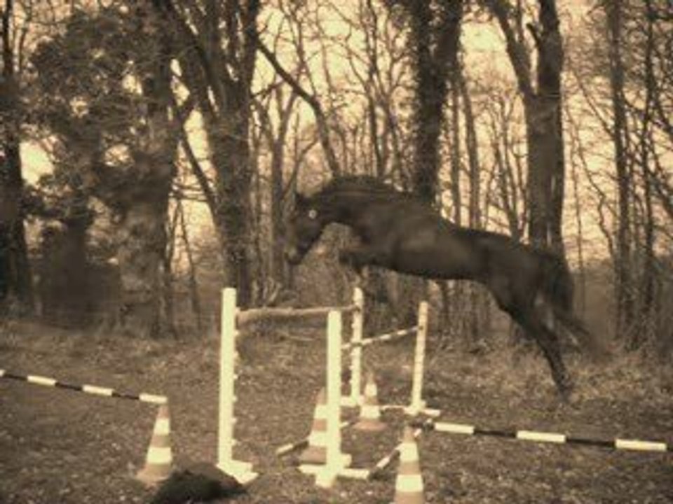 Saut en liberté 1M10 ! =P