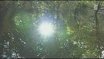 Planète terre (3/3) à l'assaut des terres